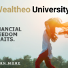 Learn about Wealtheo - a new major player in the Online Learning Space offer New Businesses