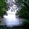 The Beautiful Manatee Peninsula in the Dominican Republic is on SALE! Picture